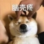 发帖人头像