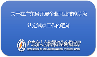 关于在广东省开展企业职业技能等级认定试点工作的通知